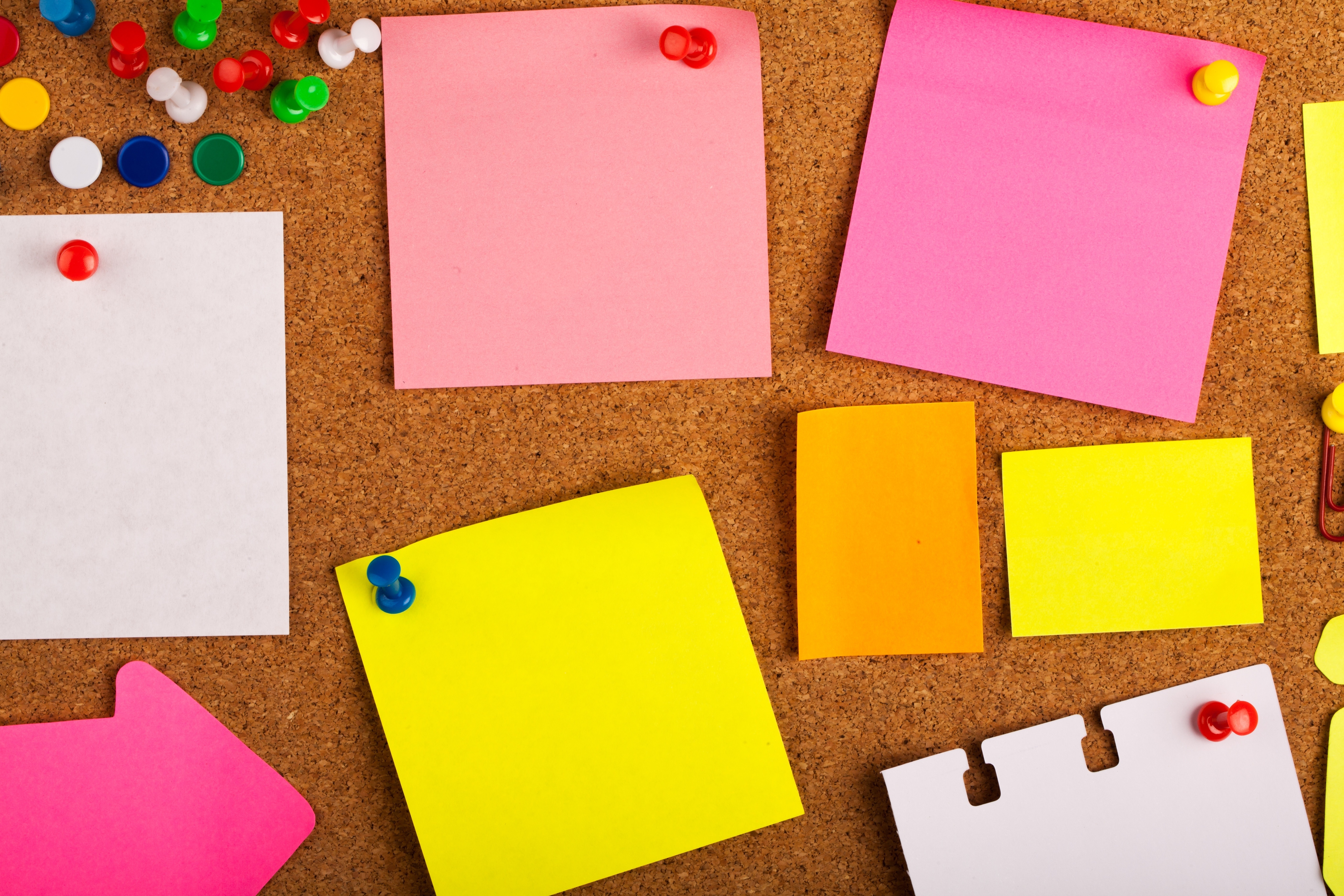 home_organization_3_SU_Aug_2016.jpg